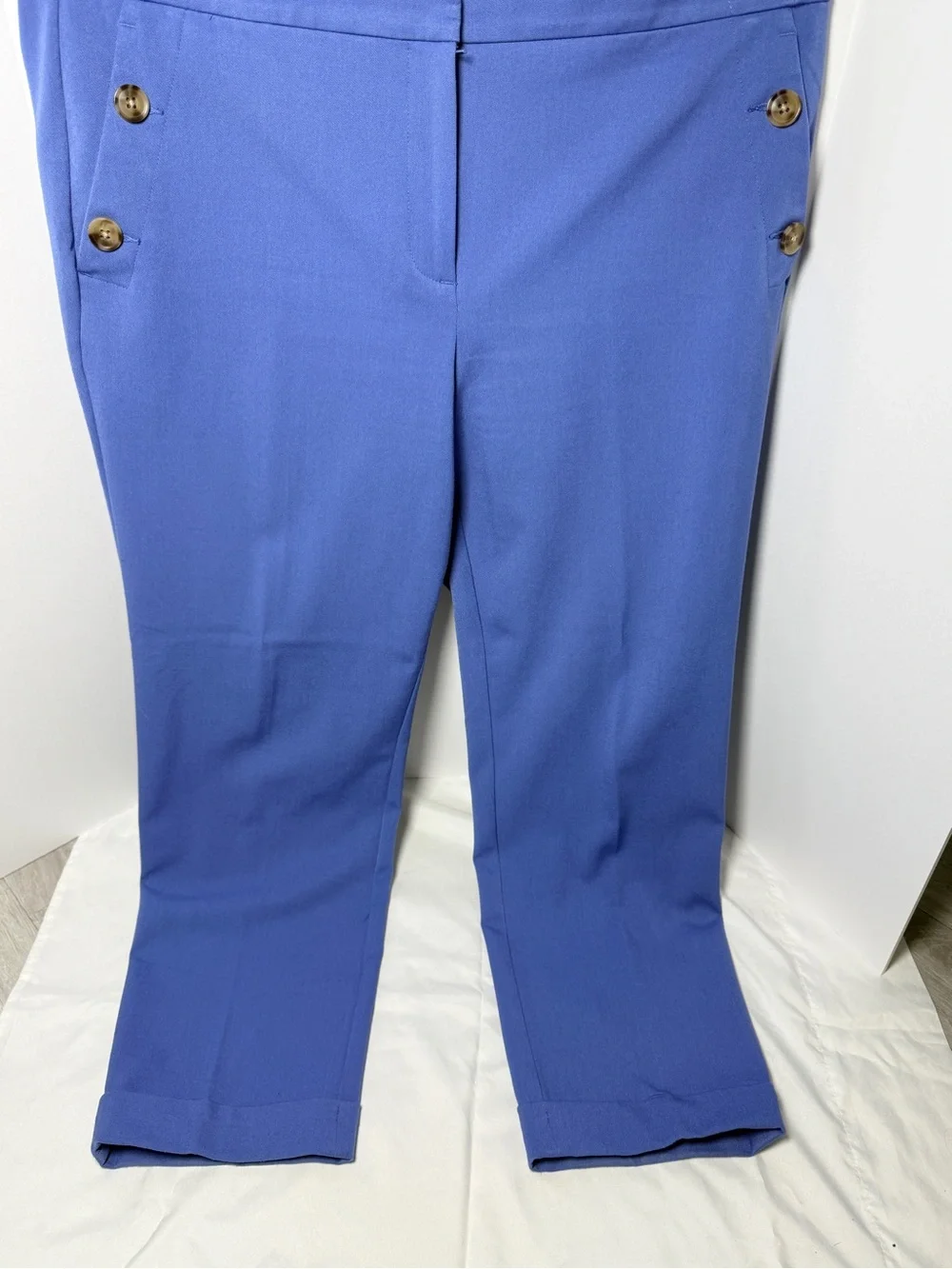 LOFT Royal Blue Women's Pants